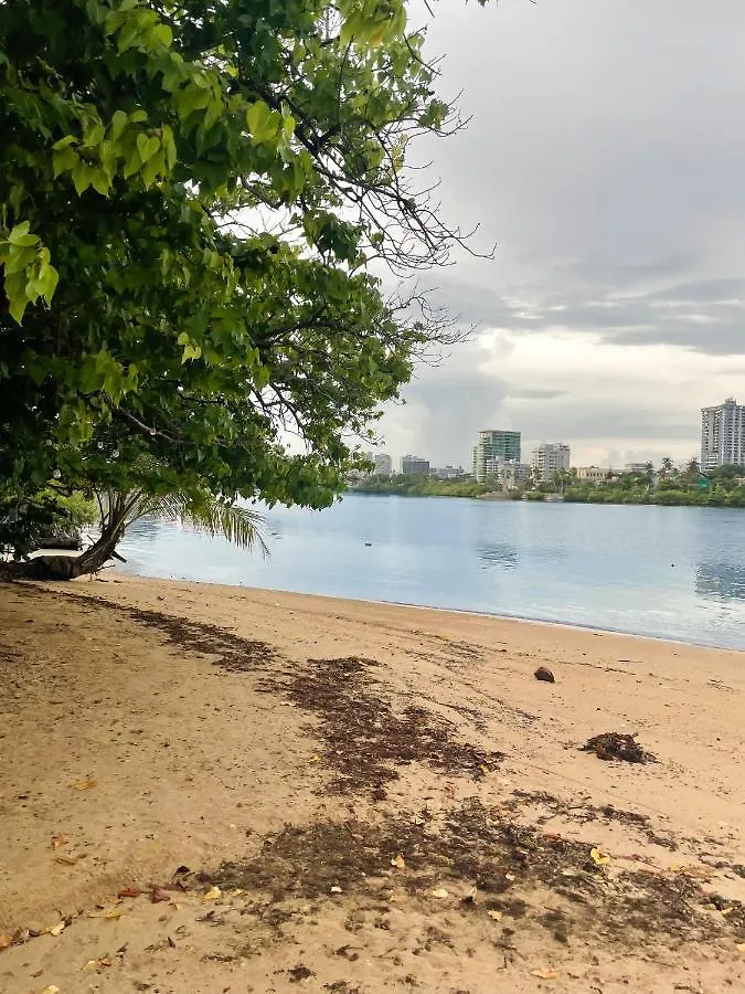 Villa Jungla Del Mar - Oceanfront City Apartment San Juan Puerto Rico